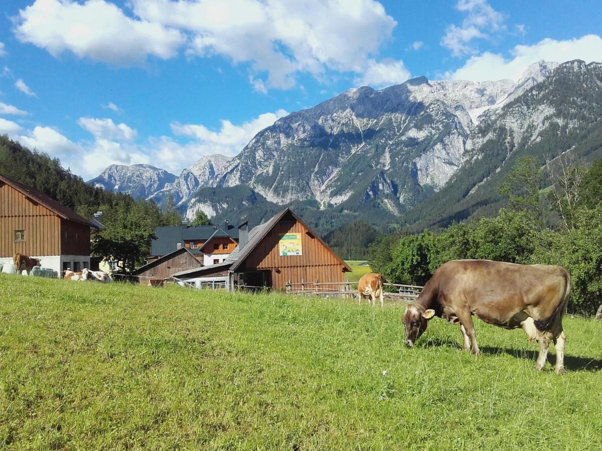 Rinnergut Farm stay *