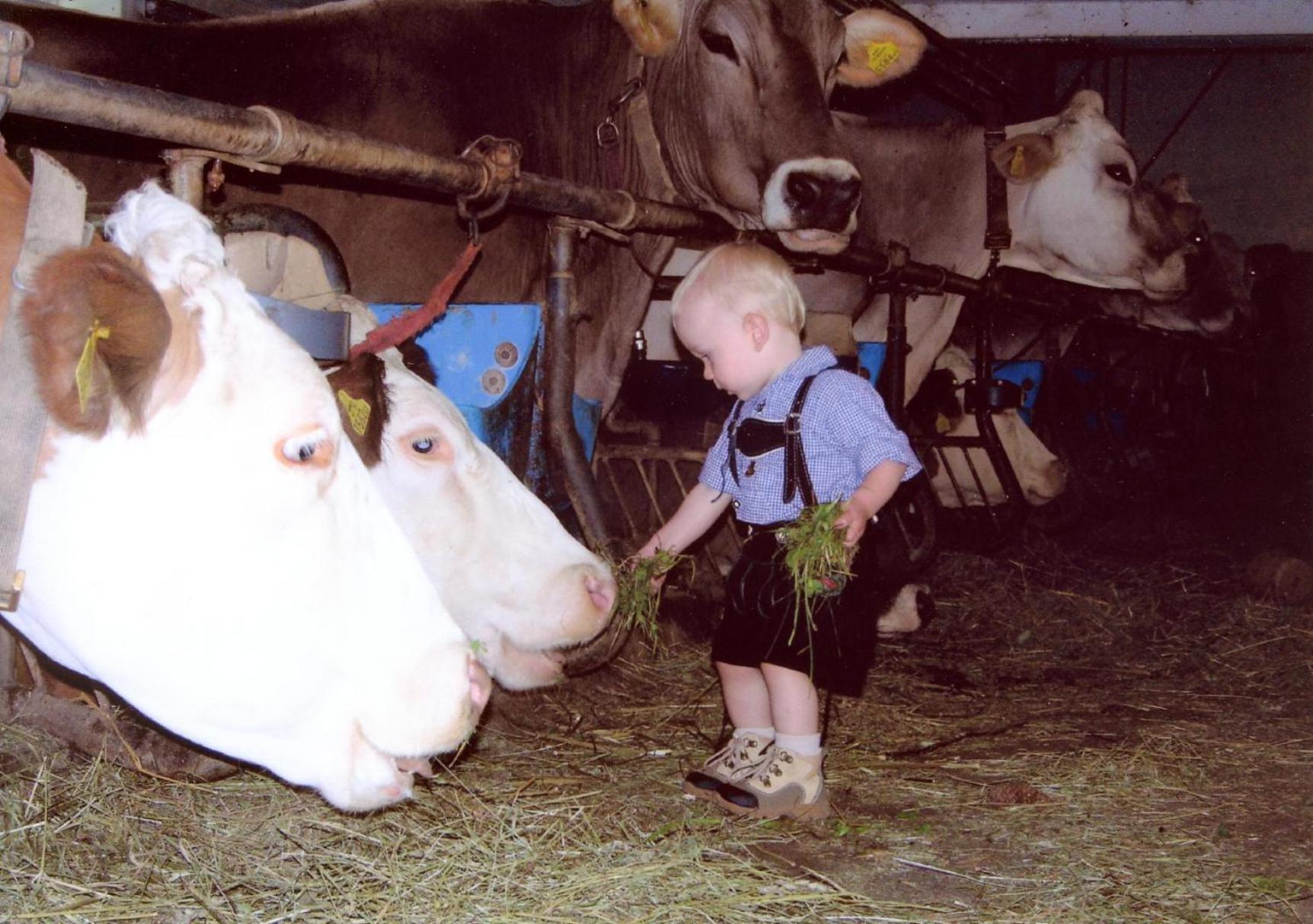 Farm stay Rinnergut