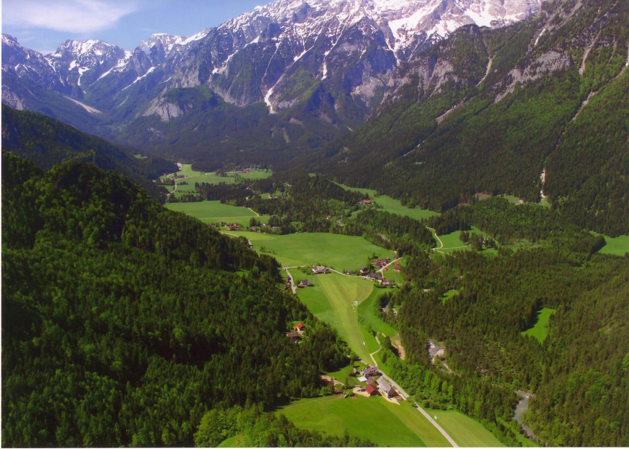 Rinnergut Farm stay